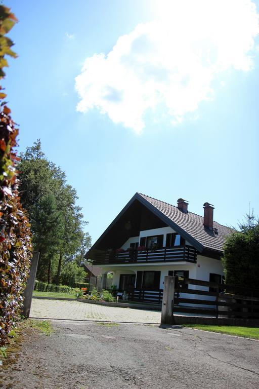 Lake House Apartment Medvode Esterno foto