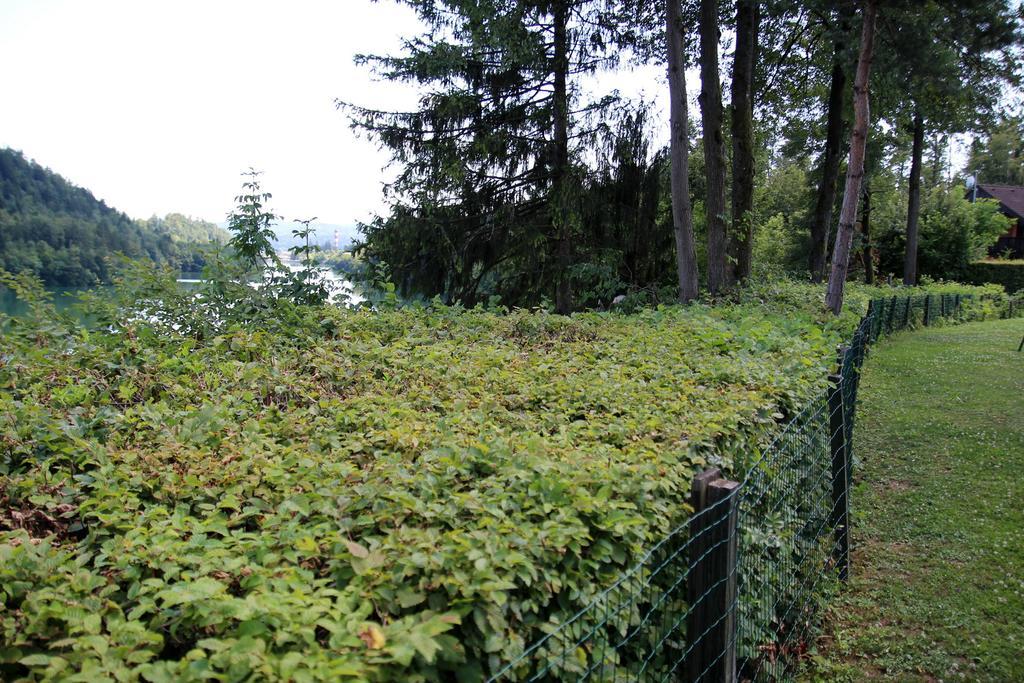 Lake House Apartment Medvode Esterno foto