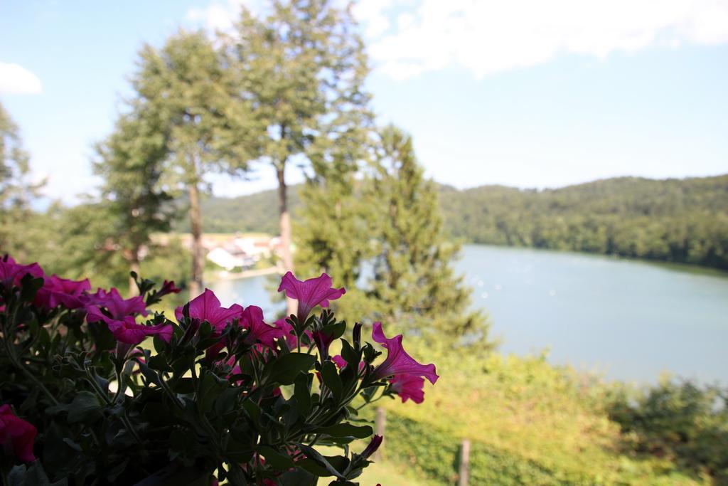 Lake House Apartment Medvode Esterno foto