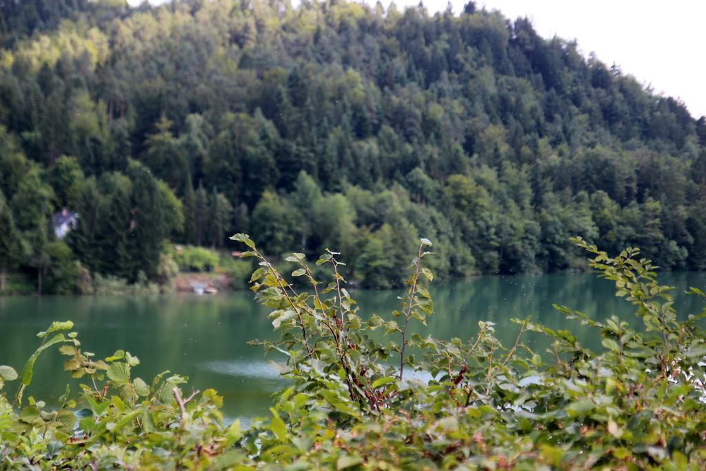 Lake House Apartment Medvode Esterno foto