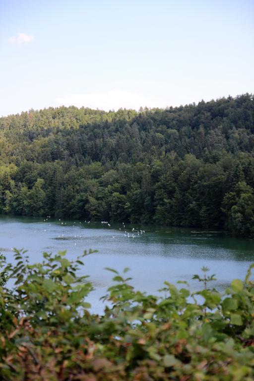 Lake House Apartment Medvode Esterno foto