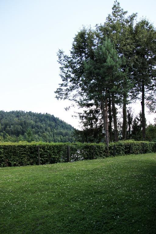 Lake House Apartment Medvode Esterno foto